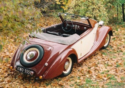 Fiat w ogrodzie1